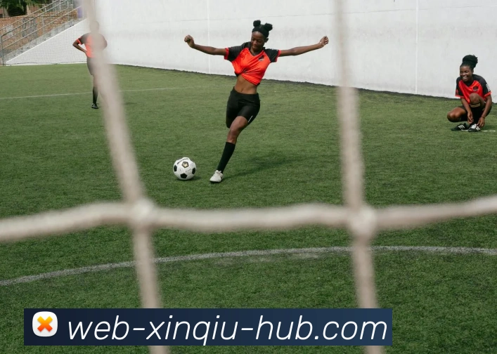 新球体育发展历程